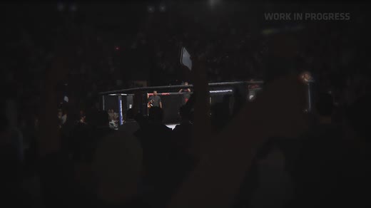 UFC终极格斗冠军2-游戏截图